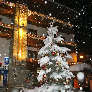hotel-du-glacier-des-evettes.hotels-rhonealpes.com/